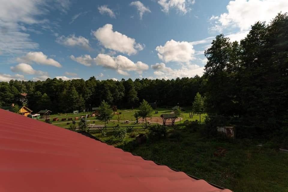 Pokoje Nad Szeszupa Jasionkove Dobro Rutka-Tartak Exterior foto